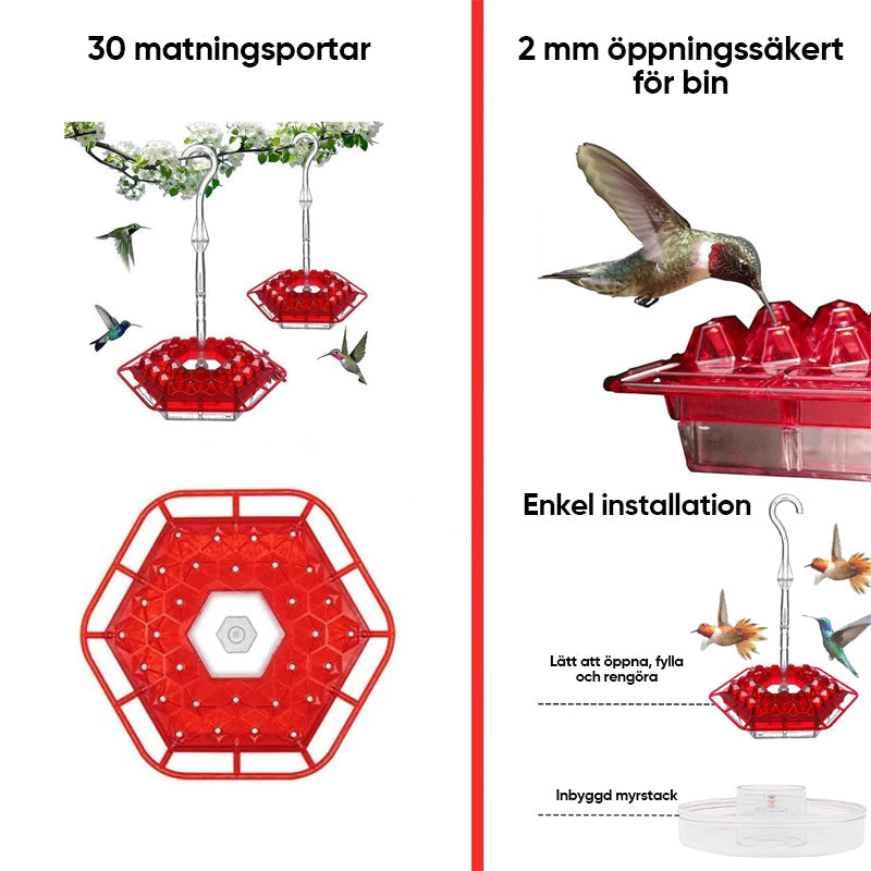 Kolibrifoderautomater för utomhusbruk Hängande
