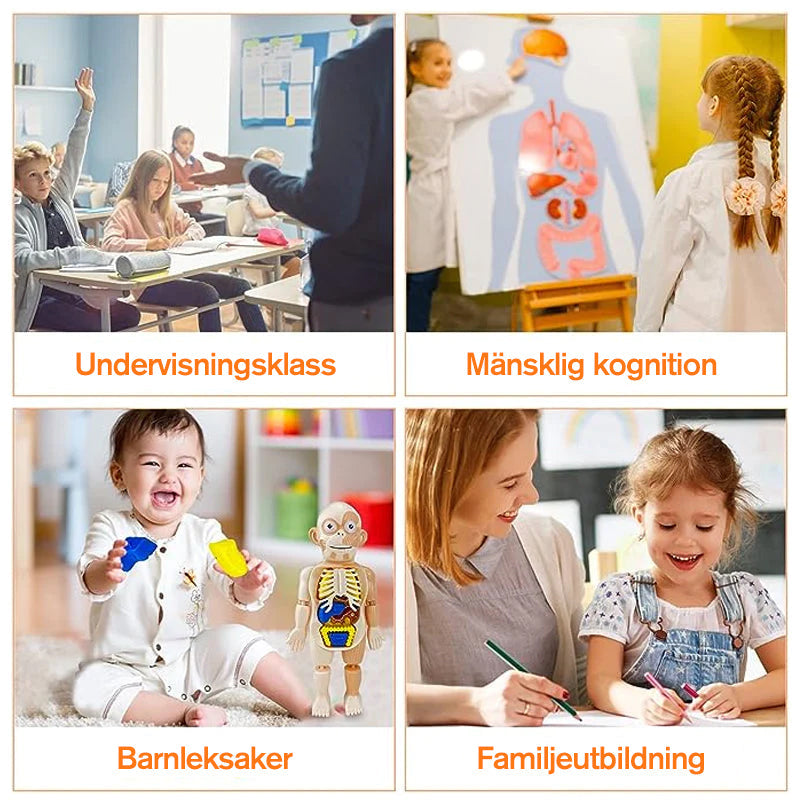 Upplysningsleksaker för barn