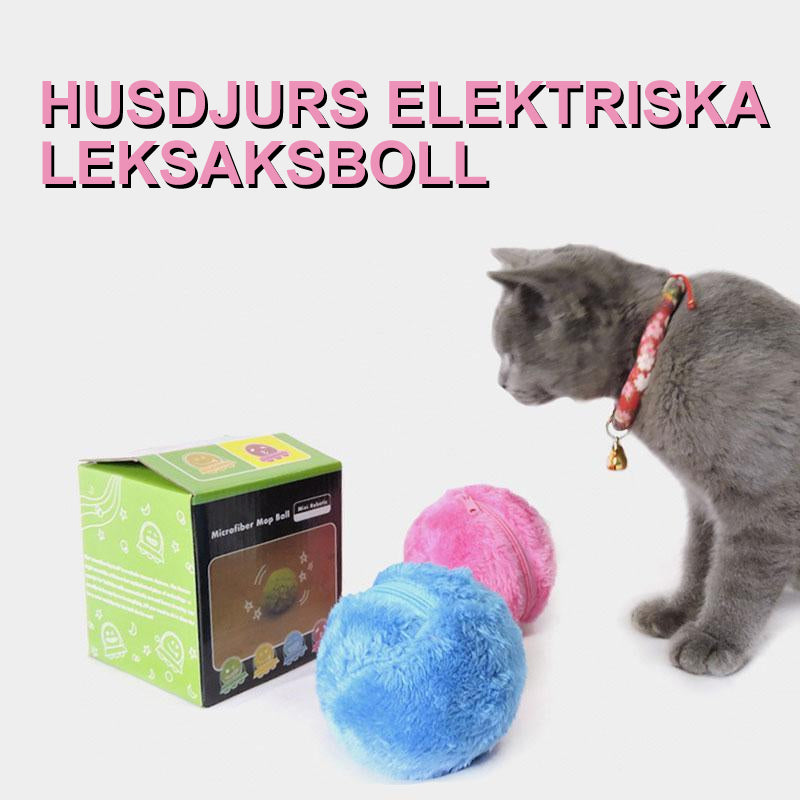 Husdjurs elektrisk boll leksak med plysch överdrag