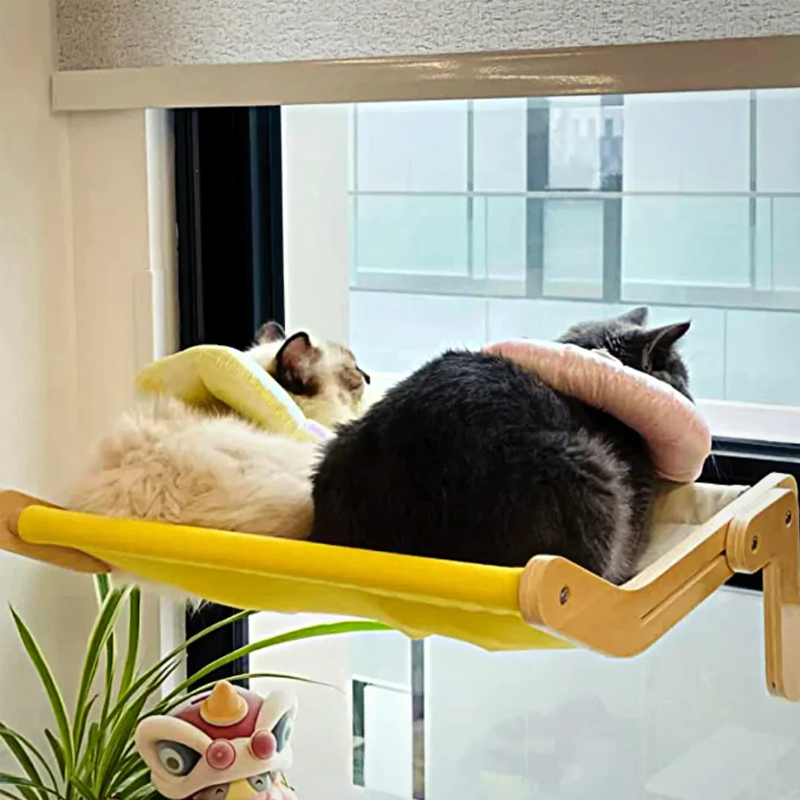 Fönster katt hängande säng