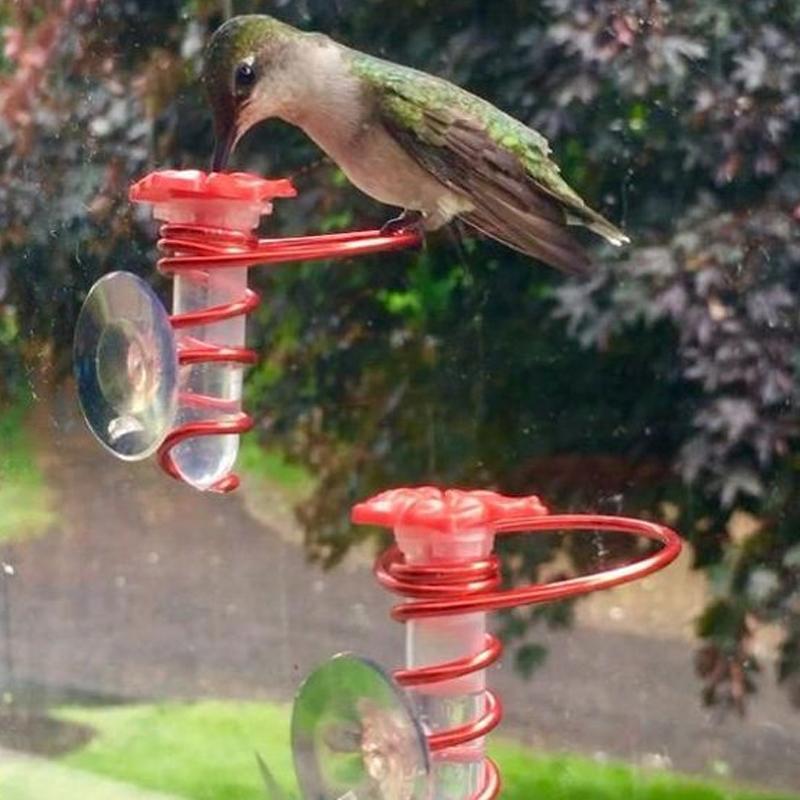 Fönster Hummingbird Feeder